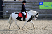 Introductory C / 50cm Arena Eventing