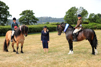RING 1 (Ridden Welsh, M&M, Welsh PB) - All Classes and Championships