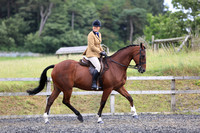 Class 29 - Veteran Horse or Pony