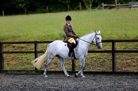 Class 30 - Riding Club Horse / Competition Horse