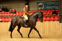 Class 54 - Mixed Height Ridden Show Hunter Pony