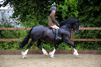 London International Horse Show Qualifier Classes