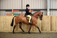 Class 13 - Open Mixed Height Show Pony