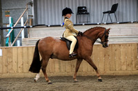 Class 15 - Open Show Hunter Pony