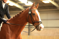 Class 1 - Preliminary 4 2024 - HorseHage