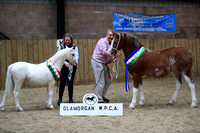 Glamorgan WPCA - Foal and Youngstock Show - 05.11.22