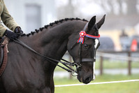 Pembrokeshire Agricultural Society - Spring Equine Show - 16.04.23