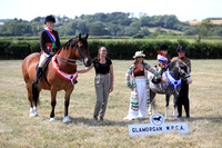 Glamorgan Welsh Pony and Cob Association Performance Show - 02.07.23