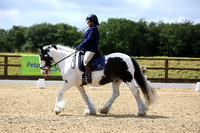 CLASS 2 - Area Festival Preliminary Silver W - Test 19 (2008) - Long