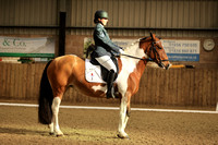 Class 7 - Medium 4 2024 - HorseLight