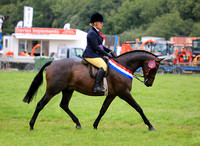 Pembrokeshire County Show 2023 - Horse Rings 1 & 2 (Inc. Supreme Championships)