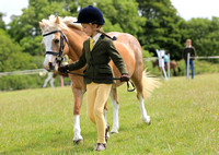 Class 5 - Young Handler Aged 4-11