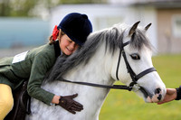 Pembrokeshire Agricultural Society - Spring Equine Competition | Working Hunter & Children’s Section