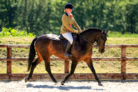 BSPS Wales -  Spring Working Hunter Show - Beacons Equestrian - 13.06.21