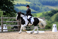 British Dressage - Little Mill Equestrian - 10.07.21