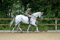 WORKING HUNTER CHAMPIONSHIP