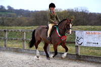 BSPS Wales - Area 12 - Spring Working Hunter Show - Beacons Equestrian - 14.04.19