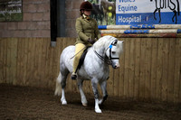 Class 2 - THE B.S.P.S (RIHS) HERITAGE MOUNTAIN & MOORLAND OPENRIDDEN. WELSH SECTION A & B. Ponies 4 years old or over. Riders any age.