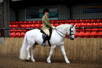 Class 4 - THE B.S.P.S. (RIHS) HERITAGE MOUNTAIN & MOORLAND OPENRIDDEN LARGE BREEDS New Forest, Connemara, Mare or Gelding, 4 years old orover. Riders any age.