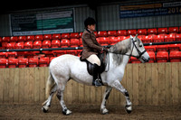 Class 5 - THE B.S.P.S. (RIHS) HERITAGE MOUNTAIN & MOORLAND OPENRIDDEN LARGE BREEDS Fells, Highlands, Dales, Mare or Gelding, 4 years old orover. Riders any age.