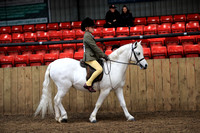 Class 7 - The B.S.P.S. (RIHS) Heritage Mountain & Moorland First Ridden. Mare orGelding 4 years old or over, not exceeding 128 cms. Suitable to be ridden by a rider notto have attained their 12th birt