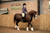 Class 10 - The B.S.P.S Heritage Pretty Polly (RIHS) Ridden Mixed Breeds, RegisteredPure Bred Ponies, 4 years old and over. Riders Any age. Dartmoor, Exmoor, Shetland,Welsh Section A or B, Connemara, D