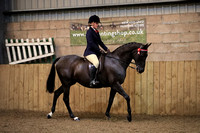 Class 28 - The B.S.P.S. (RIHS) INTERMEDIATE Show Riding Type Mare or Gelding, 4 years old orover, exceeding 153cms. And not exceeding 158cms. Suitable to be ridden by a rider not to have attainedtheir