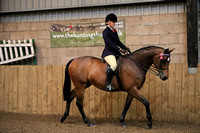 Class 27 - The B.S.P.S. (RIHS) INTERMEDIATE Show Riding Type. Mare or Gelding, 4 years old orover, exceeding 146cms. And not exceeding 153cms. Suitable to be ridden by a rider not to have attainedthei