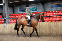 Class 26 - The B.S.P.S. (RIHS) Open Pony of Show Hunter Type. Mare or Gelding, 4 years old or over,exceeding 143cms. And not exceeding 153cms. Suitable to be ridden by a rider not to have attained the