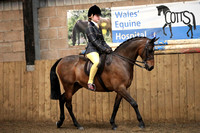 Class 25 - The B.S.P.S. (RIHS) Open Pony of Show Hunter Type. Mare or Gelding, 4 years old or over,exceeding 133cms. And not exceeding 143cms. Suitable to be ridden by a rider not to have attained the