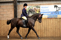 Class 21 - THE B.S.P.S . (R.I.H.S.) RIDDEN ANGLO AND PART BRED ARAB.Mare, Stallion or Gelding 4 years old or over, exceeding 148cms. Riders any age.