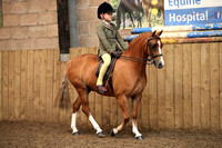 Class 23 - Class 23. The B.S.P.S. (RIHS) Open Pony of Show Hunter Type. Mare or Gelding, 4 years old or over,not exceeding 122cms. Suitable to be ridden by a rider not to have attained their 12th birt