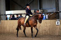 Class 20 - THE B.S.P.S. (R.I.H.S.) RIDDEN ANGLO AND PART BRED ARAB. Mare, Stallion orgelding 4 years old or over, not exceeding 148cms. Riders any age.