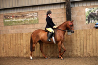 Class 19 - The B.S.P.S. (RIHS) PRETTY POLLY INTERMEDIATE SRT/SHT. Mare or Gelding, 4 yearsold or over, exceeding 146cms but not exceeding not exceeding 1 58cms. Riders must be the correct agefor the h