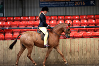 Class 14 - The B.S.P.S. (RIHS) Open Show Pony, mare or gelding 4 years old and over, exceeding 128cmsand not exceeding 138cms, Riders not to have attained their 15th birthday before 1st January in the