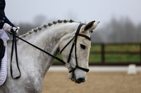 British Dressage - Beacons Equestrian - 03.02.24