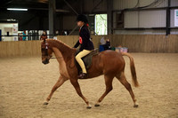 Plaited Ponies - CHAMPIONSHIP