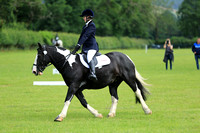 Class 6 - Preliminary PC70 Plus Dressage Qualifier