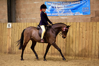 Class 18 - The BSPS (RIHS) Open Show Pony <128cm