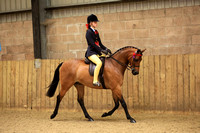 CHAMPIONSHIP - The BSPS (RIHS) Open Show Pony Championship