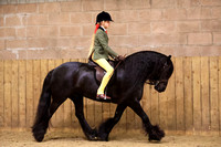 Class 43 - The BSPS Heritage Mountain & Moorland Open Ridden - Large Breeds (Fells, Highlands, Dales)
