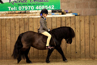 Class 28 - The BSPS (RIHS) Heritage Mountain & Moorland Pretty Polly First Ridden <122cm