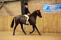 Class 21 - The BSPS (RIHS) Pretty Polly Mixed Height Show Pony <148cm