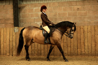 Class 6 - Large Breeds Junior - HOYS Qualifier
