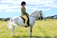 Pembrokeshire Agricultural Society - Spring Equine Show 2024