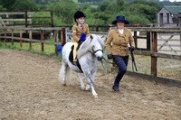 Welsh Festival of Showing - RING TWO - Saturday 31.07.21