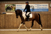 Class 7 - Novice 28