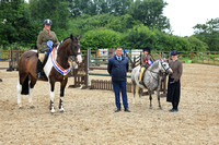 Working Hunter - Trecastell Farm - 20.07.24