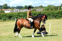 OVERALL SUPREME CHAMPIONSHIP