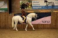 Class 4 - First Ridden - HOYS Qualifier